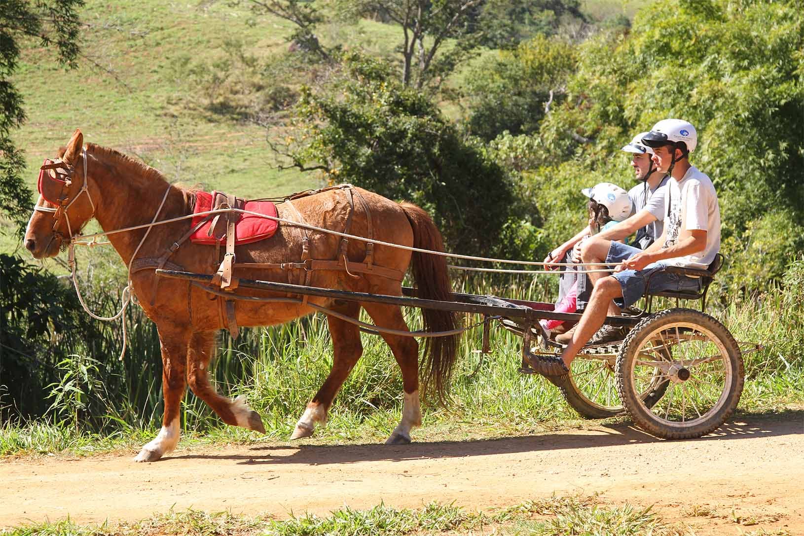 Passeio de Charrete